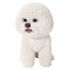 Vivid Arts (Bichon Frise Sitting