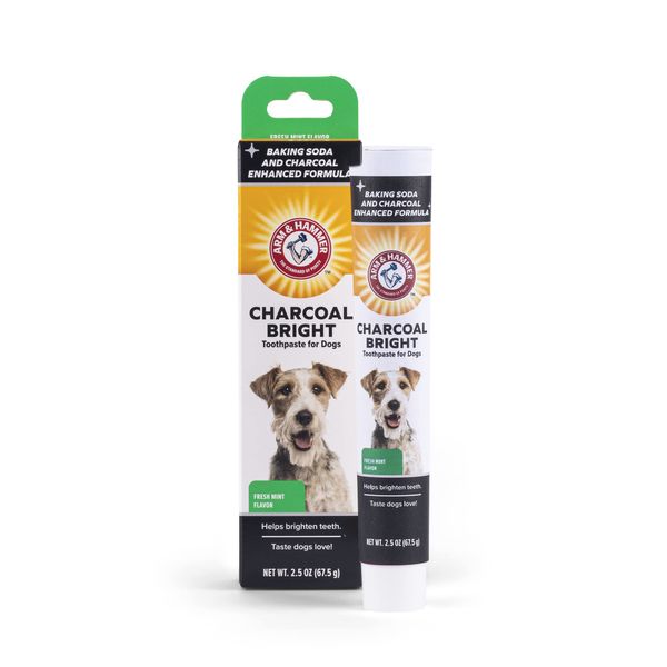 Arm & Hammer Charcoal Bright Toothpaste for Dogs, Charcoal | Pet-Safe, Natural Dog Toothpaste & Breath Freshener with Charcoal & Enzymes | 2.5oz Canine Teeth Cleaning Paste Arm & Hammer