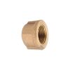 Thrifco 5318081 1/4 Inch Brass Cap Fitting