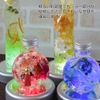 Across Herbarium Light Coaster LED Base Axta Christmas Rainbow Display Stand (No AC Adapter)