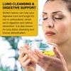 Mullein Leaf Herbal Tea for Respiratory Support, Mullen Tea for Lung Cleanse, &
