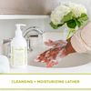 Sapadilla Rosemary + Peppermint Biodegradable Liquid Hand Soap Pump, 12 Ounce