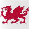 CafePress Welsh Dragon 25 oz Ceramic Beer Stein Mug