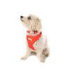 Doodlebone Adjustable Airmesh, Tangerine, 2-3