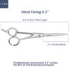 Inge Hairdressing Scissors Hair Scissors Barber Scissors Hair Cutting Scissor Professional Hair Scissors (Silver)