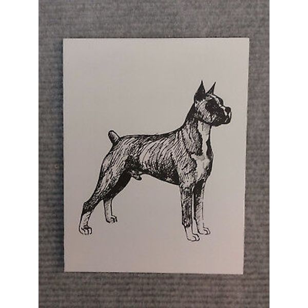 Boxer Pen and Ink Stationary Cards, Note Cards, Greeting Cards. 20 pack.