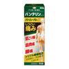 [2nd-Class OTC Drug] Vantelin Kowa Creamy Gel α 60g * Products subject to self-medication tax system