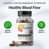 CocoaVia Heart & Brain Supplement, 30 Day, 450 mg Cocoa Flavanols, Memory & Circulation Booster, Nitric Oxide, Boost Oxygen & Energy, Plant Based, Gluten Free, Vegan, 60 Capsules