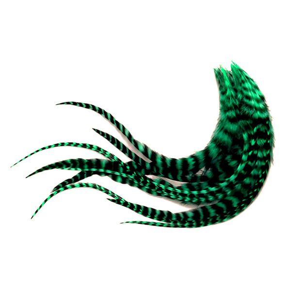 1 Dozen - Medium Peacock Green Grizzly Rooster Saddle Whiting Hair Extension Feathers Fly Tying Supply | Moonlight Feather