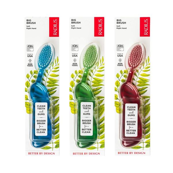 Radius Toothbrush Big Brush For Right Hand 6 Pack (Assorted)