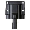 Delphi GN10286 Ignition Coil