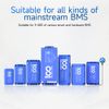 100BALANCE WiFi Module for Smart Active Balance BMS