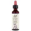 Bach Flower Essences - Flower Essence Impatiens 20 ml