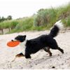 TRIXIE 33506 Dog Disc Floats TPR Diameter 22 cm