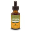 Herb Pharm Pipsissewa Liquid Extract for Urinary System Support - 1 Ounce
