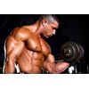 Pure Msm Powder - MSM 1000mg - Reduces Joints Swelling - Bones Support - 3 Bot
