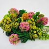 Cayway 60 Miniature Trees - Mixed Models & Colors for Model Train Scenery