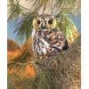 Folkmanis Pygmy Owl Hand Puppet, Brown, Black, White, Beige