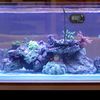 Digiflex Digital LCD Fish Aquarium Marine Vivarium Thermometer