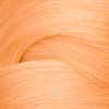 Redken Shades EQ Gloss Bonder Inside 010AA Butternut