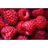 antioxidant vitamins - Antioxidant Mega Complex - anti aging supplement 1 Bottle