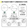 Datsu Shampoo, 16.9 fl oz (500 ml), Non-Silicone, Functional Shampoo, Nutrition Heat Retention, Damage Care, Increased Elasticity