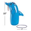 Inflatable Dolphin Ring Toss Game, Vacation Bible School 2024