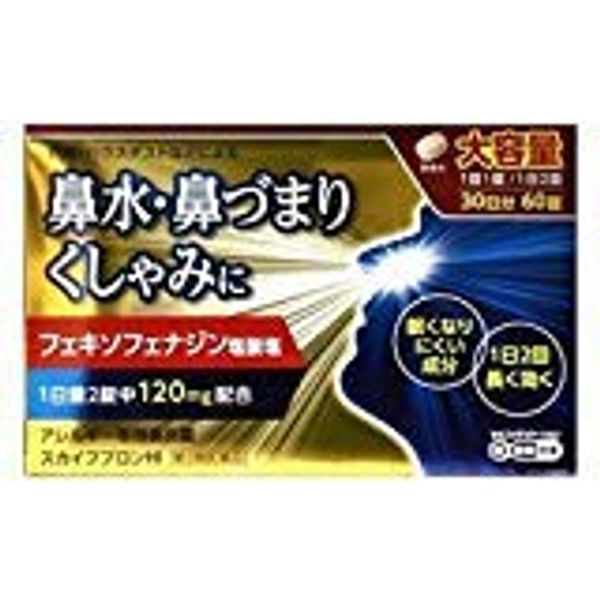 【第2類医薬品】スカイブブロンHI 60錠 ×2