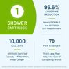 WaterChef Handheld Shower Filter System SF-7C (Brushed Nickel) - Deluxe Adjus...