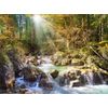 Castorland The Forest Stream Puzzle (2000 Piece)