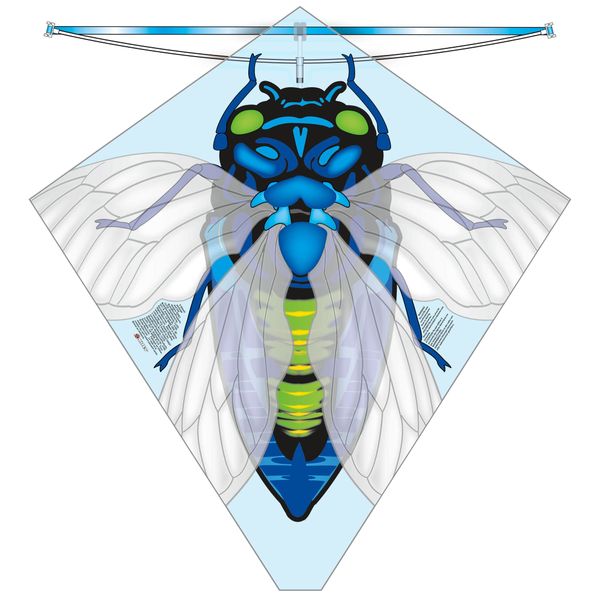 X Kites Buzz Kites® Cicada Poly Diamond Kite, 28 Inches Tall