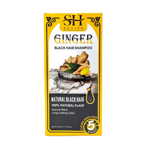 Sevich Ginger Black Hair Shampoo 16.9 oz