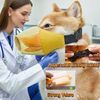 Dog Muzzle,Breathable Muzzles,Muzzle for Dogs,Adjustable Muzzles for Medium Sized/Large Dog,Anti Biting Barking Chewing (XL)