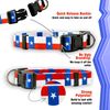Native Pup Texas State Flag Dog Collar (Texas, Small)