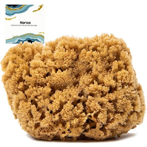 Naroa Natural Massage Shower Sponge for Bathing | Unbleached Body Scrubber Puff | Firm Bath Sponge for Healthy Skin | Eco Friendly Renewable Sea Sponge Medium
