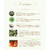 Amritara Amazing Organic Foundation Creamy Moisture Refill M3 Light Ochre SPF50+ PA+++