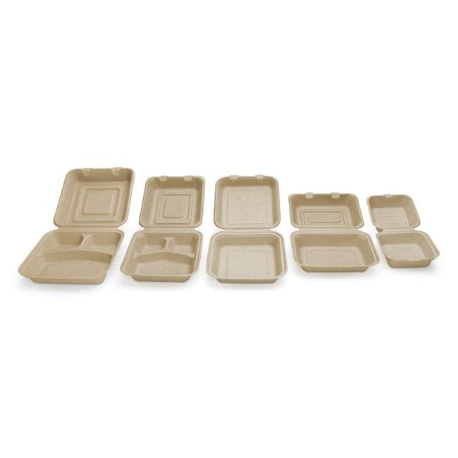 Earth's Natural Alternative Eco-Friendly Natural Compostable Plant Fiber 10 Plate Natural 125 Count