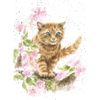 Wrendale Designs Greeting Card - THE MARMALADE CAT (Cat)