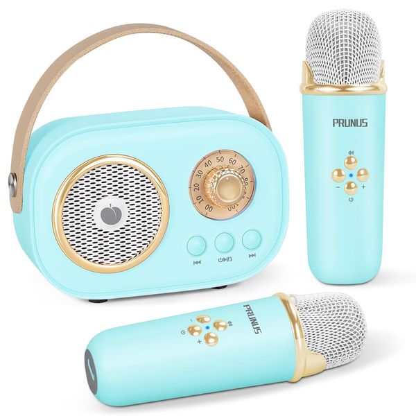 Mini Karaoke Machine for Kids&Adults,Portable Bluetooth Speaker with 2 Wireless Microphones and Stereo Sound Enhanced Bass,Gifts for Girl 6 7 8 9 10 11 12 Years Old (Blue)