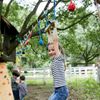 Children's Outdoor Ninja Activity Set with Monkey Bars, Swing, and Climbing Rope
