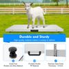 Pet Veterinary Scale 660LB Heavy Duty Digital Platform Scale with Power Adapter