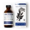Maine Medicinals Organic Elderberry Syrup - Anthoimmune - Immune Support Supplement for Adults and Kids- USDA Organic, Ultra-Premium Black Elderberry Formula (4 oz) 24 Servings