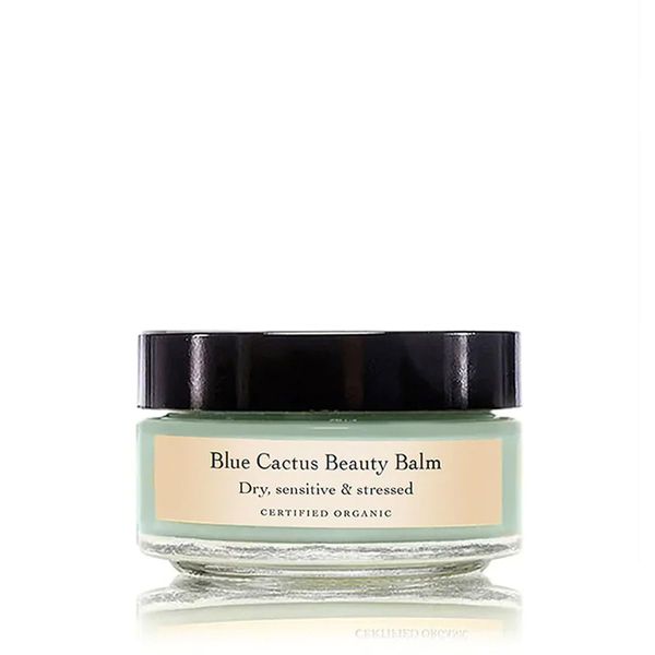 evanhealy Blue Cactus Beauty Balm | Organic Prickly Pear & Blue Tansy Flower | Soothing, Calming, Moisture Balm for All Skin