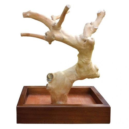 Prevue Pet Products Coffeawood Tree Mini Table Top (X-Small)