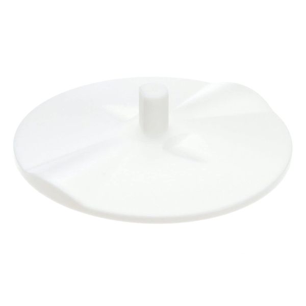 Discharge Plate, Bottom
