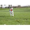 ChuckIt! Tumble Bumper Dog Toy, Medium
