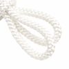 (kyouetu) kyoetsu/Five Three Boys Cloaks String Round Pair