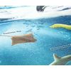 Safari Ltd Ocean Playmat Wild Sealife