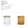 Bijou Bijou Glass Pot Bush