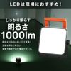 LWT-1000BA2 LED Floodlight, AC Type, 1000 lm